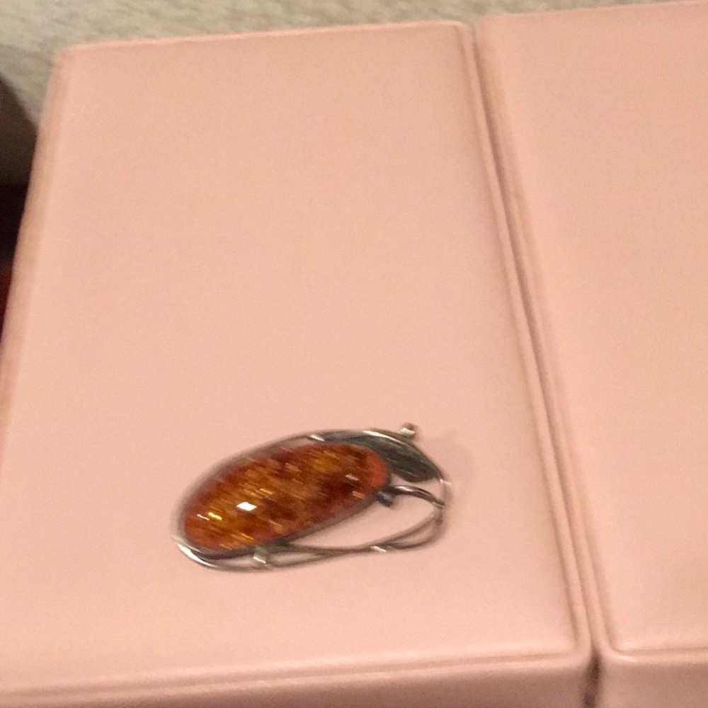 Fashion pin